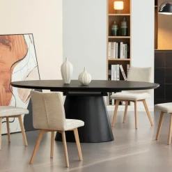 EllaTable design ovale extensible avec pied central