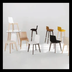 Lottus Enea® Chaise design en polypropylène et pieds bois