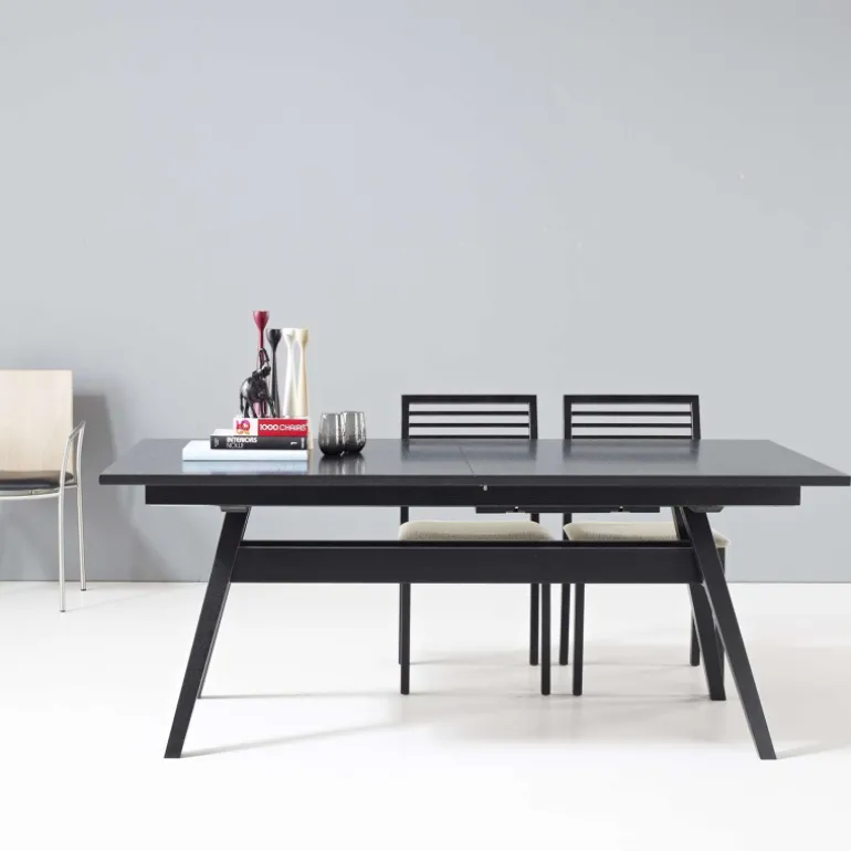 SM11 Table de séjour scandinave extensible en bois