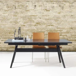 SM11 Table de séjour scandinave extensible en bois