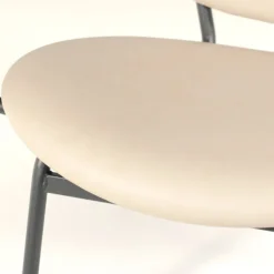 Titan Carrier® Fauteuil confort pour personne à forte corpulence